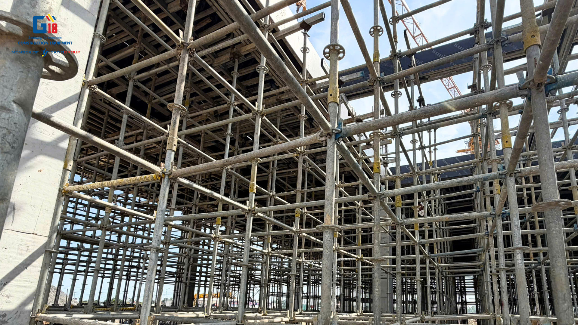 Gỗ dán phủ keo nhập khẩu G18Plywood 